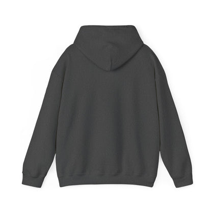 Unisex Heavy Blend™ Hooded Sweatshirt - new
